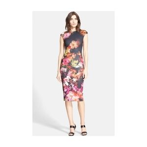 Ted Baker Catina Dress